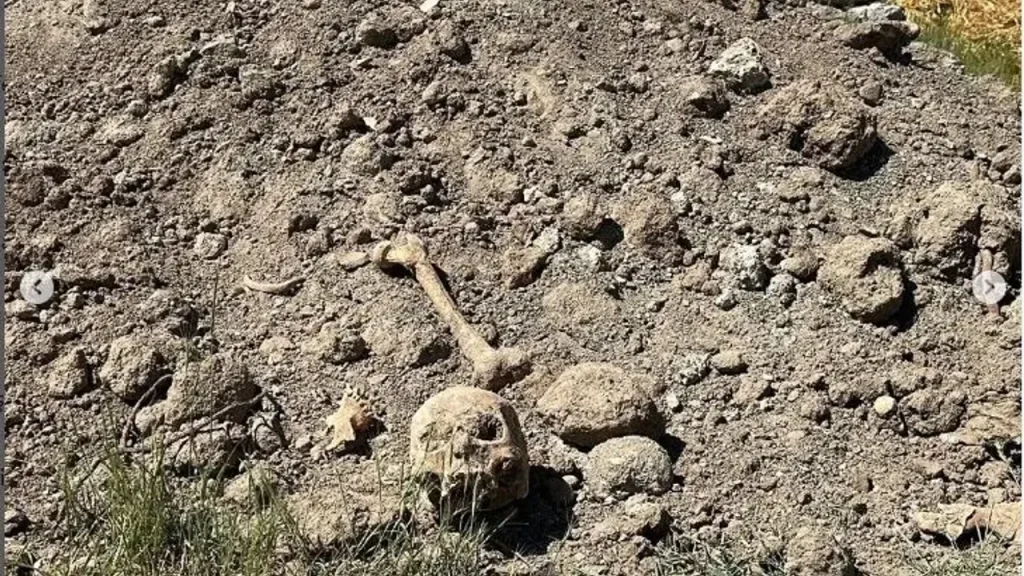 Van’da hafriyattan ceset çıktı