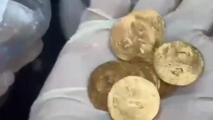 Van’da tarihi eser kaçakçılığı