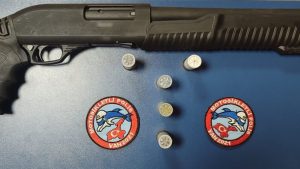 Van’da 24 kişi tutuklandı