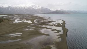 Van Gölü’nden güzel haberler gelmeye başladı