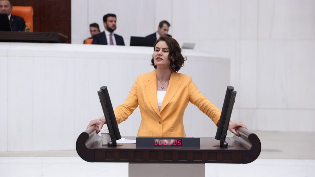 Van’ın uçak sorunu TBMM’de!