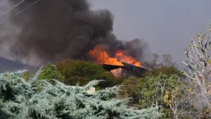 Los Angeles yangınında evi yanan Türk ünlüler