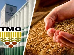 Rapor Yayınlandı! Van Riskli Bölgeler Arasında! Kıtlık mı başlıyor?